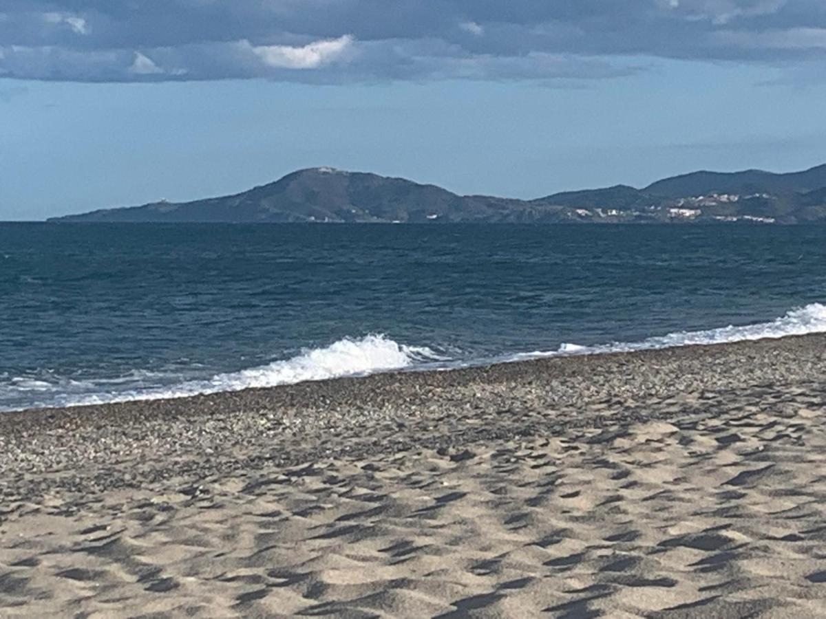 Tropique : Appart Vue Mer Et Piscine Saint-Cyprien  Buitenkant foto